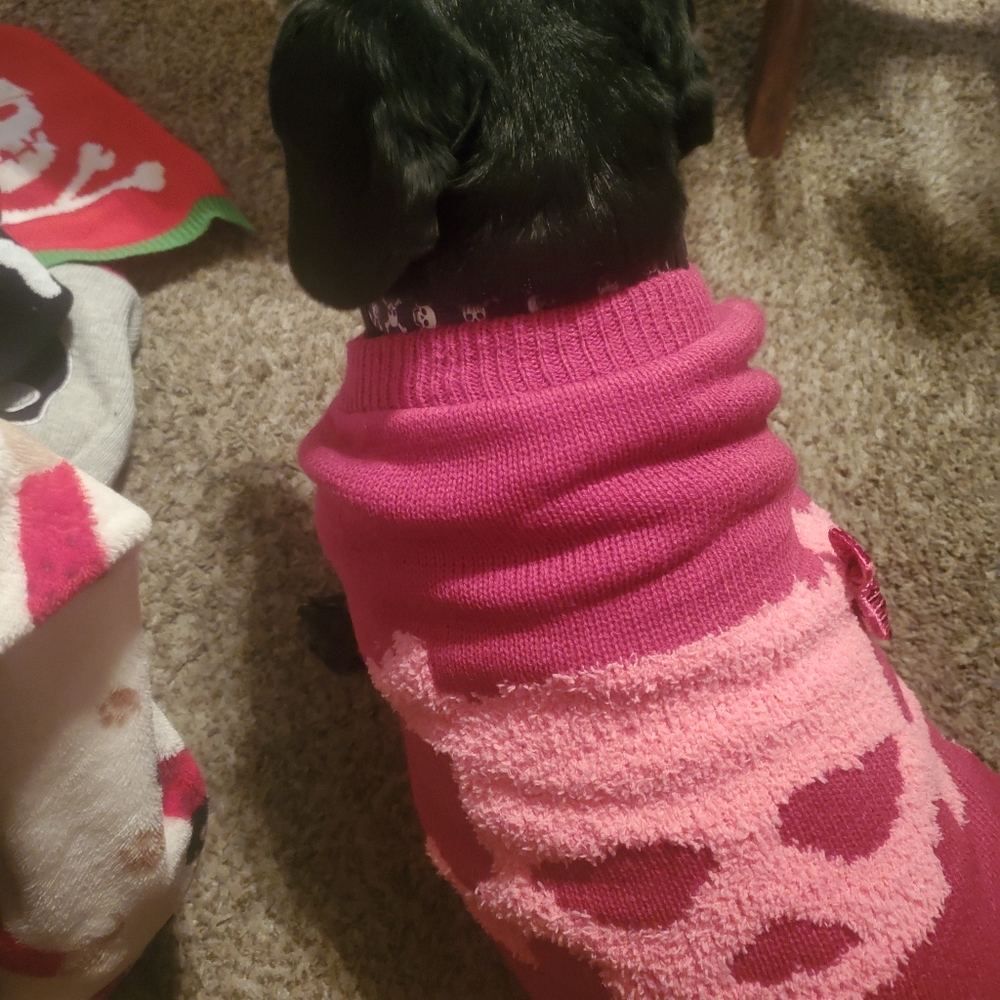 PINK Skull Dog Sweater